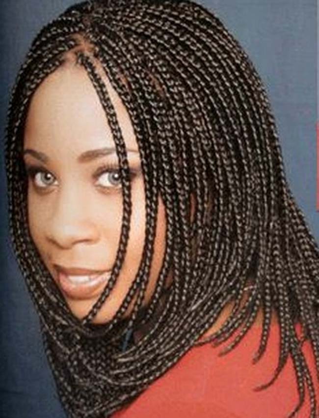 Black Hairstyles Braids Pictures
